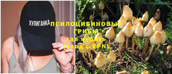 соль ск Гусь-Хрустальный