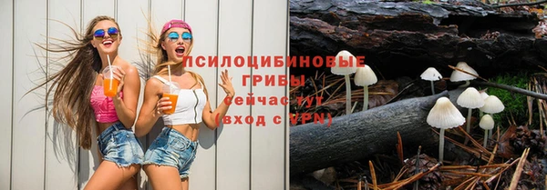 соль ск Гусь-Хрустальный