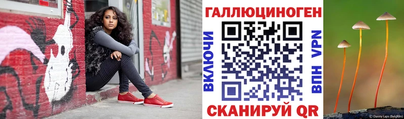 Купить  Ужур  Галлюциногенные грибы Cubensis